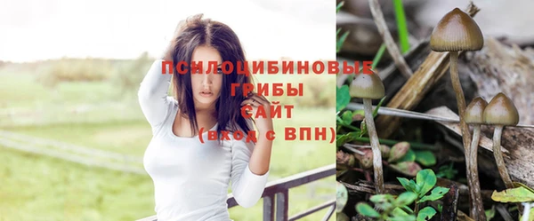 прущая мука Абаза